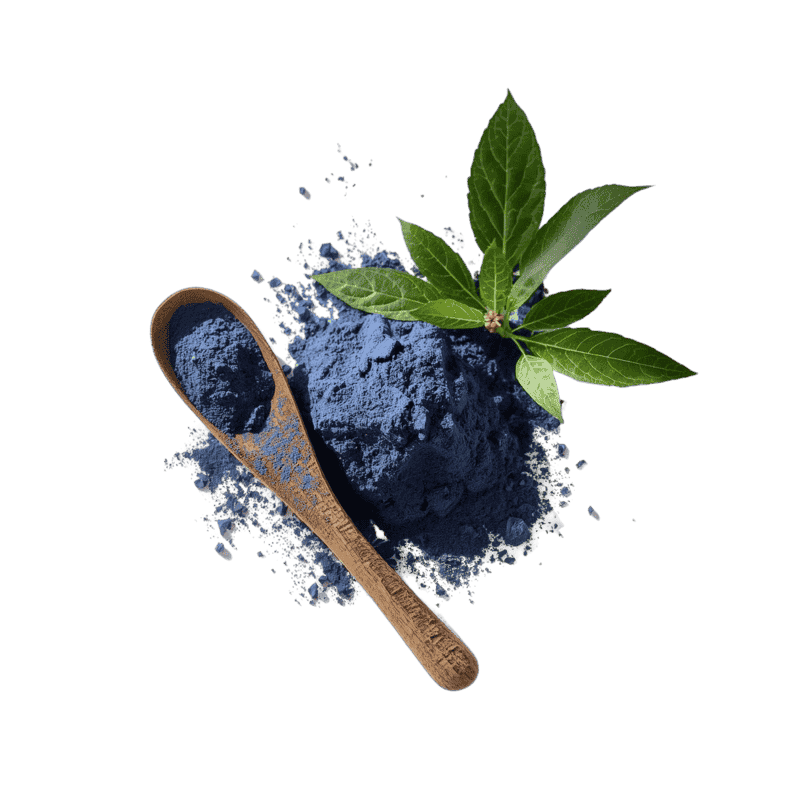 Untitled design (1) (1)